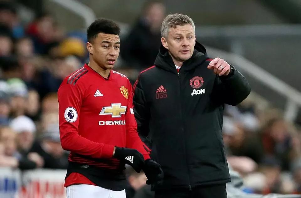 中发挥作用 中发挥作用