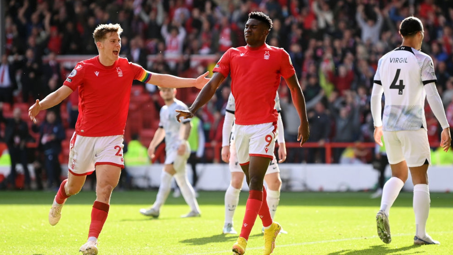 报道森林以 报道森林以